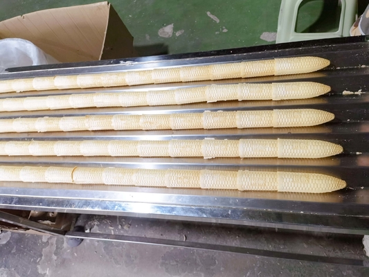 Un bon prix. Deux couleur Sugar Cone Making Machine automatique 7000pcs/H en ligne